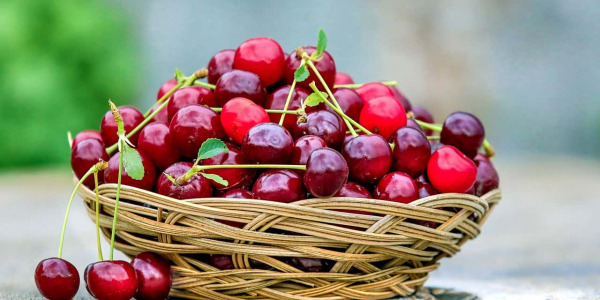 ¡Cerezas! Origen, propiedades y beneficios
