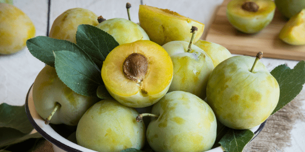 3 recetas deliciosas con ciruela reina claudia que no te puedes perder este verano