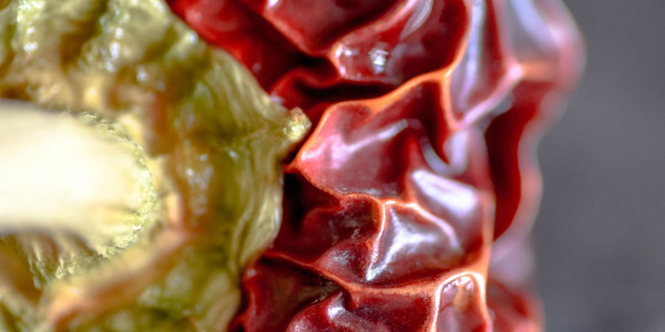 ¿Conoces la diferencia entre ñora y pimiento choricero? 