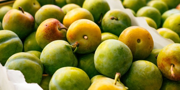 Ciruela Claudia: recetas dulces y saladas con la fruta de temporada más esperada